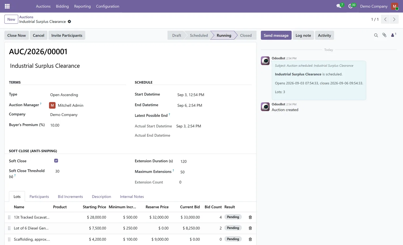 B2B Auction Management for Odoo, auction form