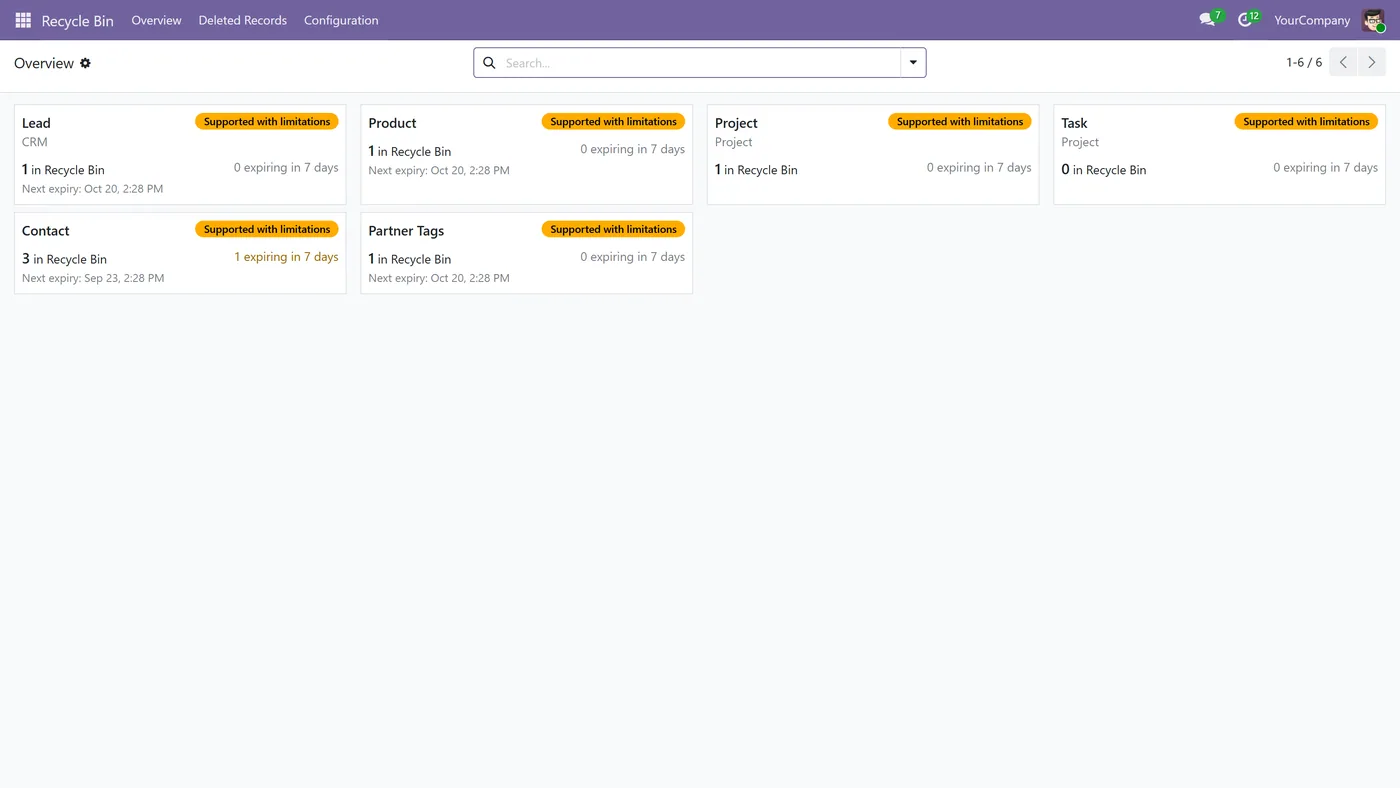 Recycle Bin for Odoo, overview
